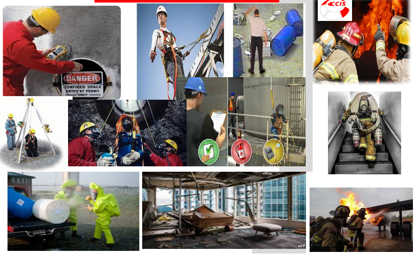 risk managements and emergency interventions